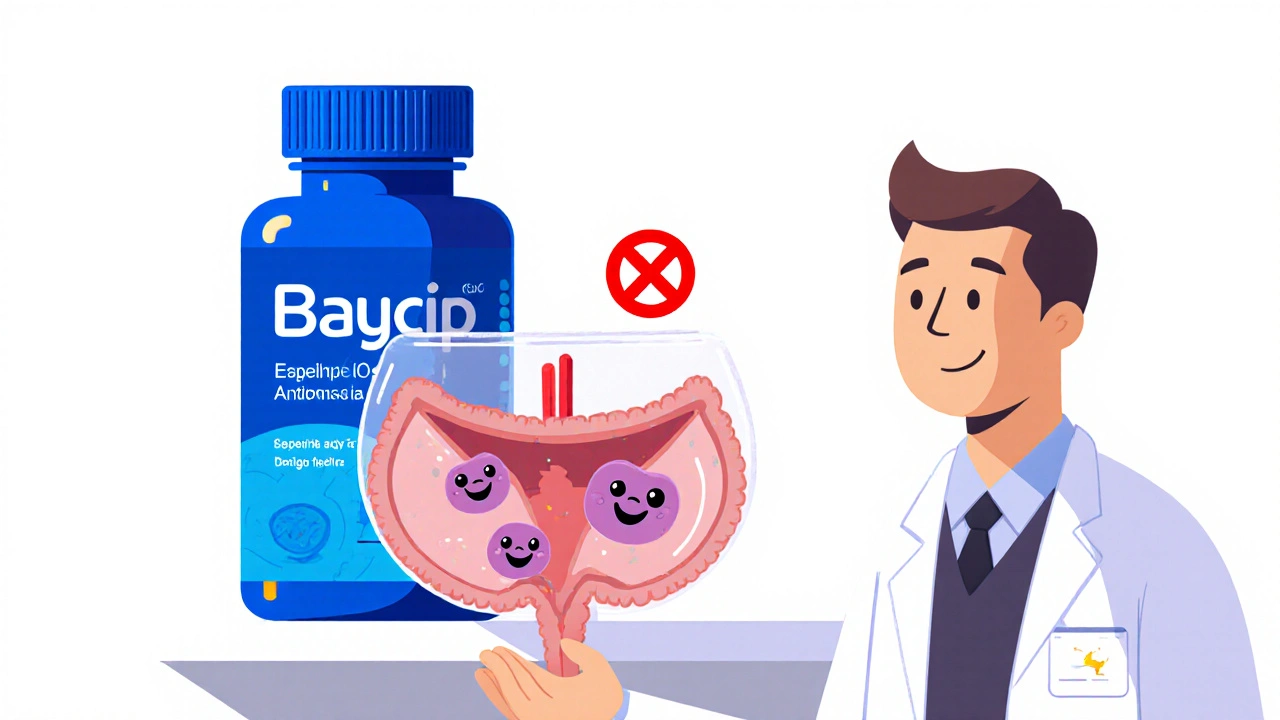 Baycip vs Other Ciprofloxacin Alternatives: Pros, Cons & Comparison