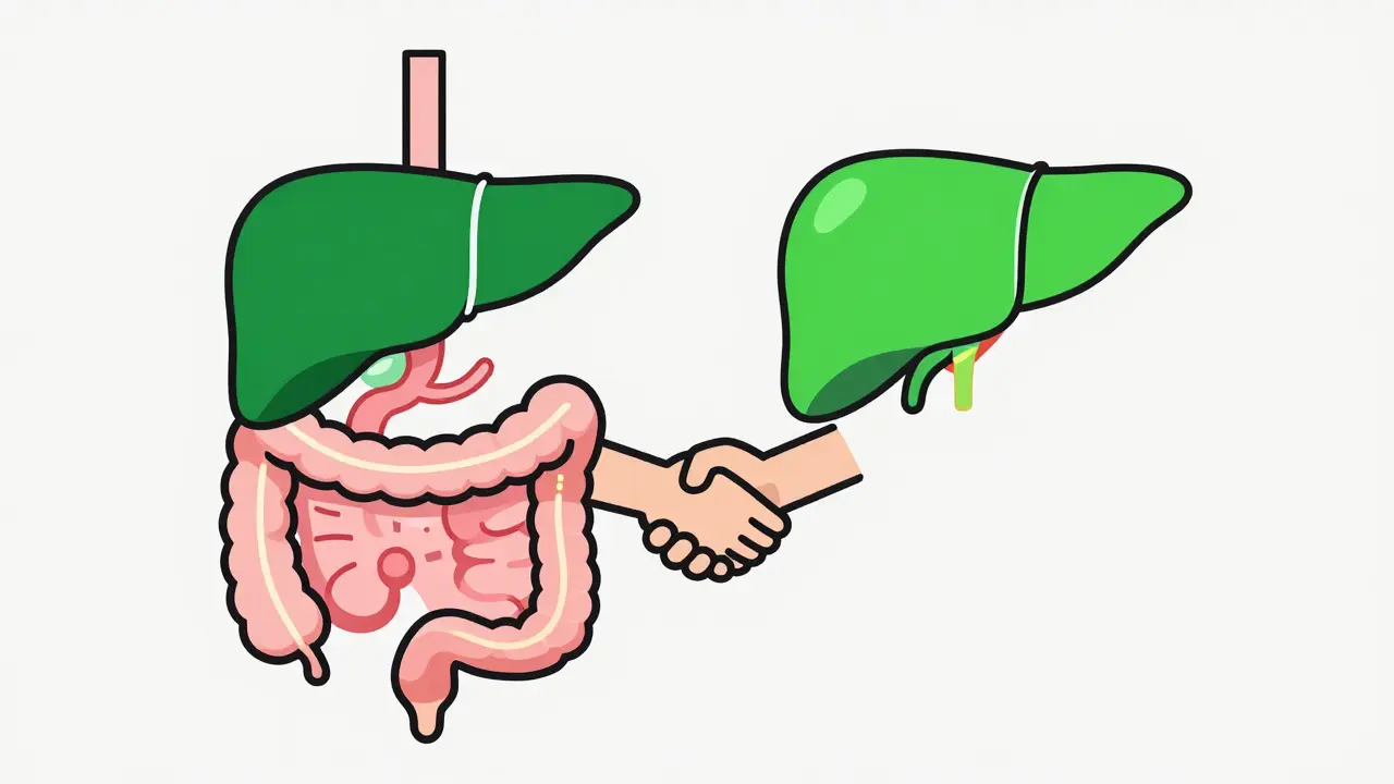 Nonalcoholic Fatty Liver Disease and Gut: How Diet and Weight Loss Heal NAFLD